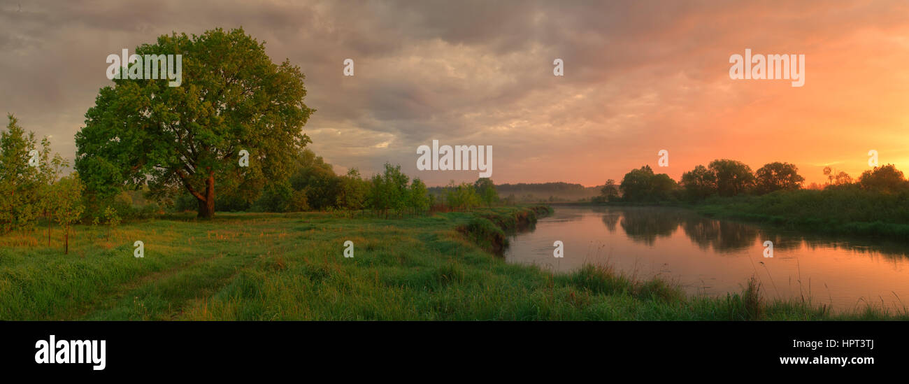 Misty morning landscape with lake and big tree Stock Photo
