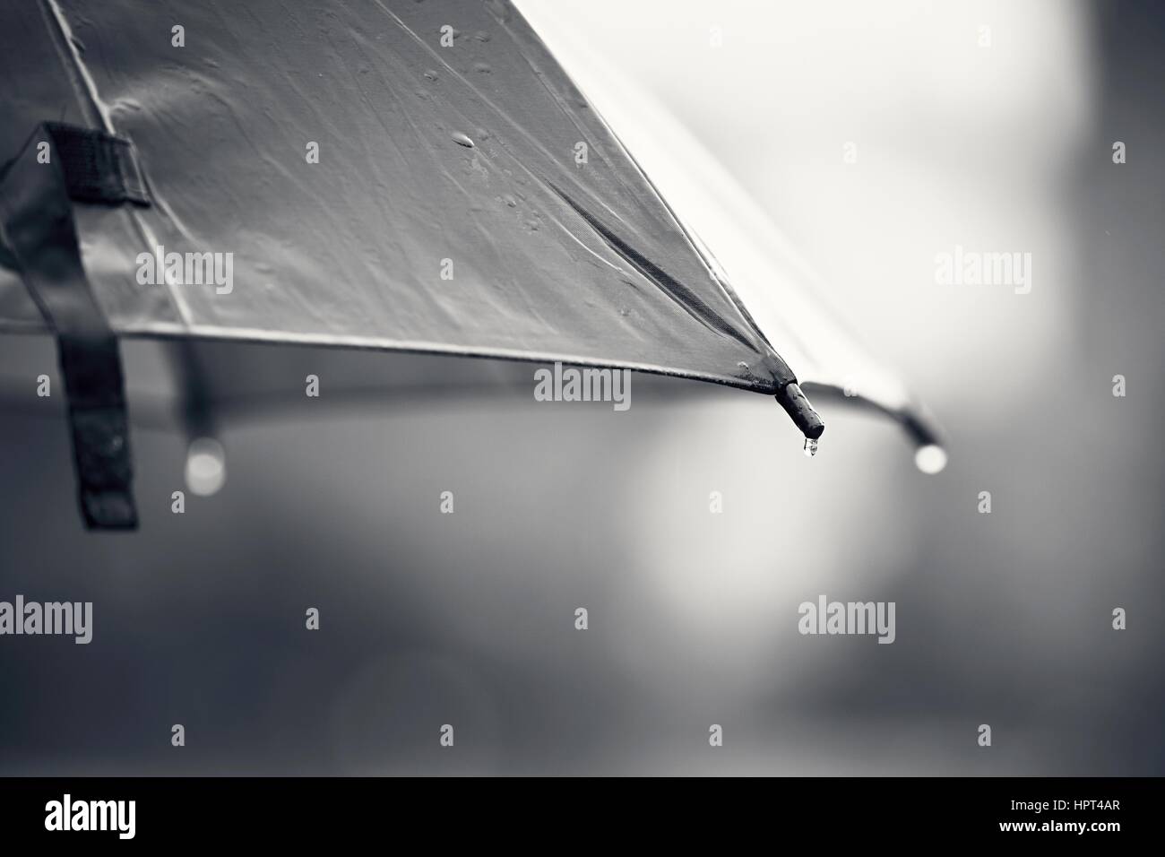 Rainy day. Close up view of the drop on the umbrella during rain. Stock Photo