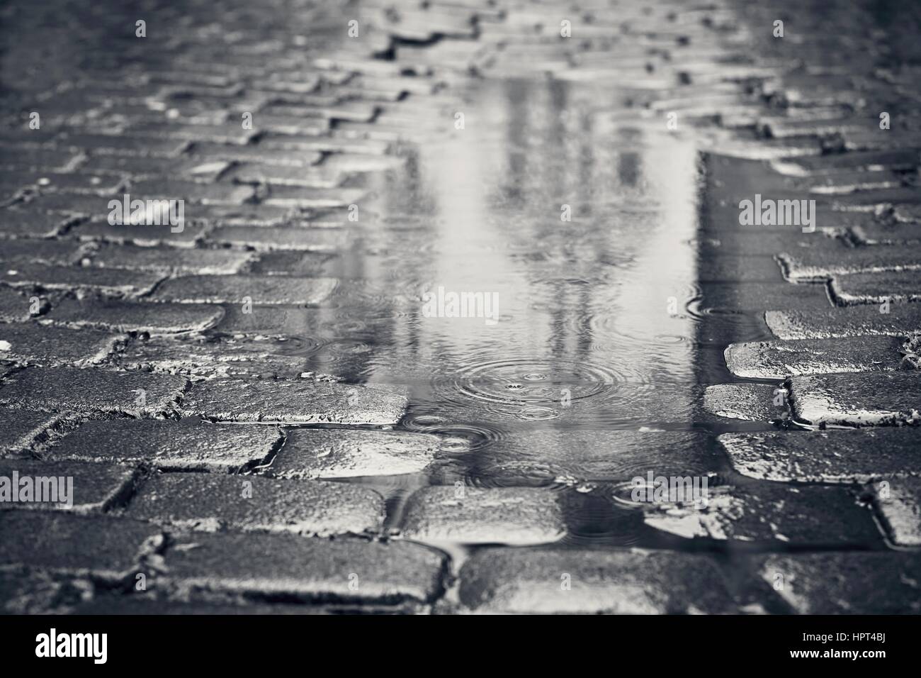 Rainy day. Reflection of the building in puddle on the city street during rain. Stock Photo