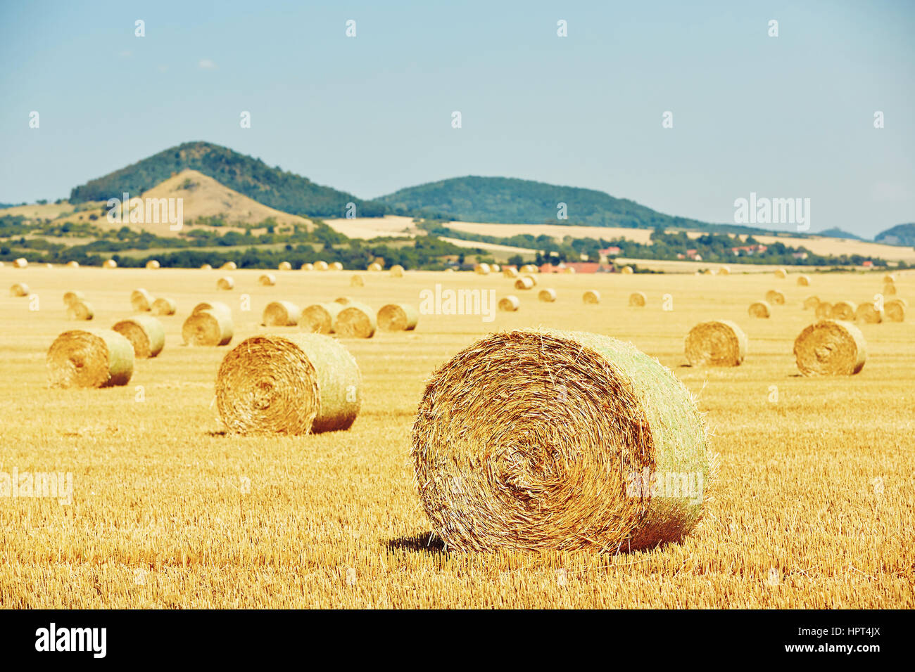 Straw bales on the field after harvest Stock Photo - Alamy