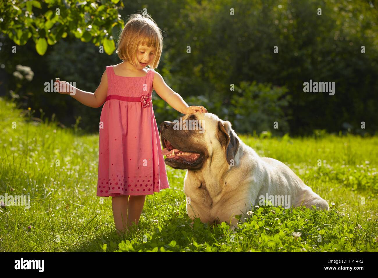Little girl with large dog in the garden Stock Photo