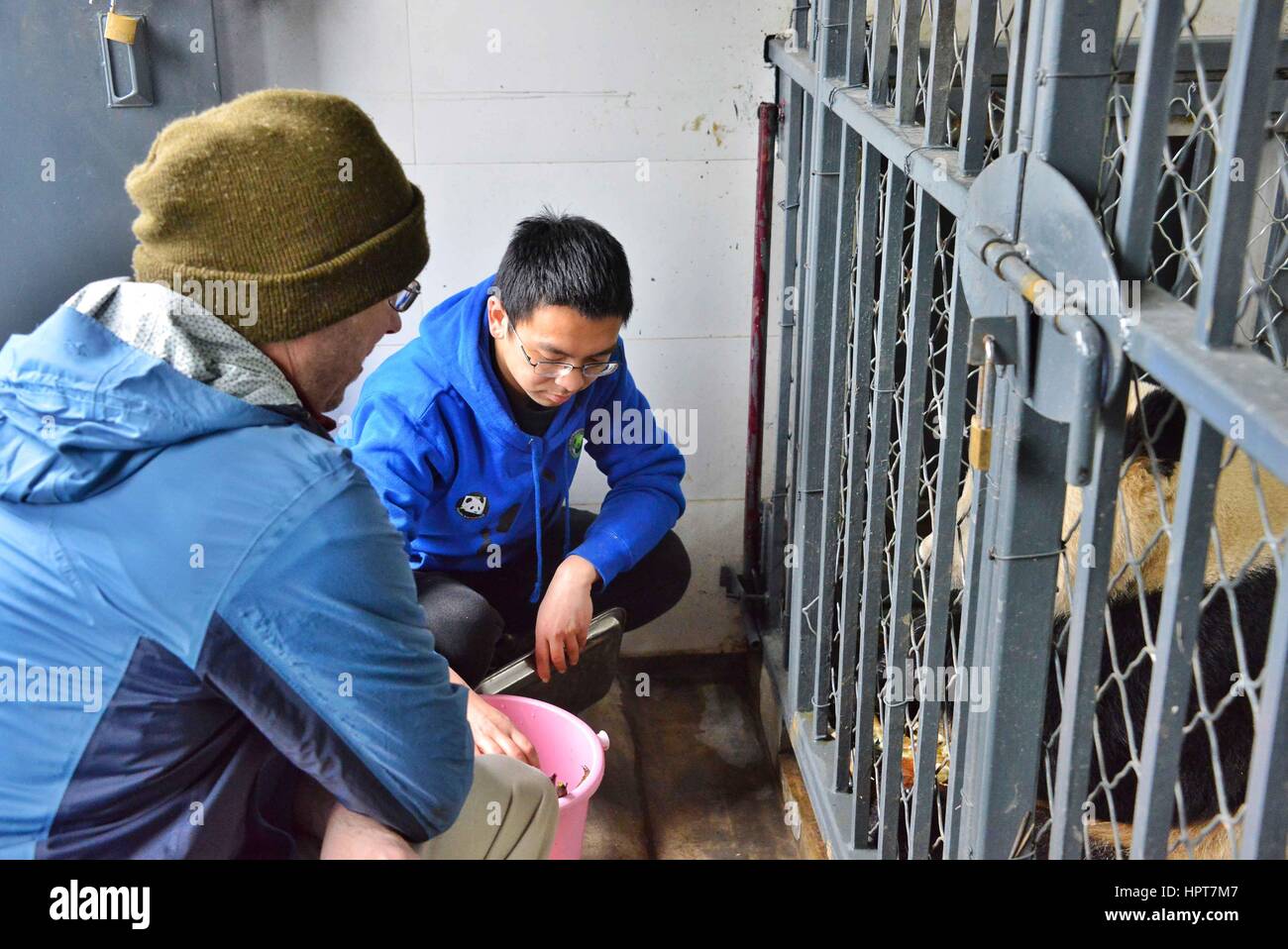 dujiangyan-china-23rd-feb-2017-keepers-take-care-of-giant-panda-bao