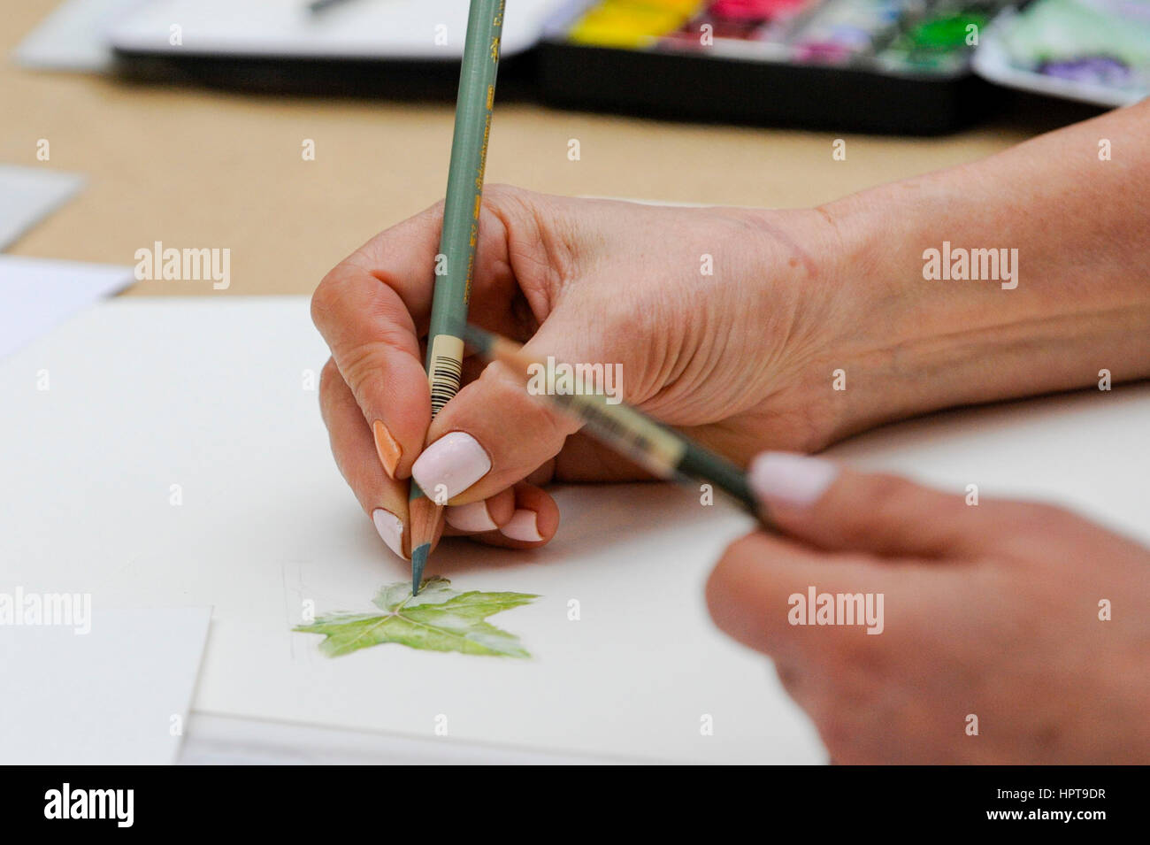 London, UK. 24th Feb, 2017. An artist gives a drawing demonstration as members of the public view the work of some of the world's best botanical artists through a display of previously unseen work at the RHS London Botanical Art Show. Taking place this weekend, the show features artists from the UK and internationally including USA, Italy, Japan, New Zealand and South Korea. Credit: Stephen Chung/Alamy Live News Stock Photo