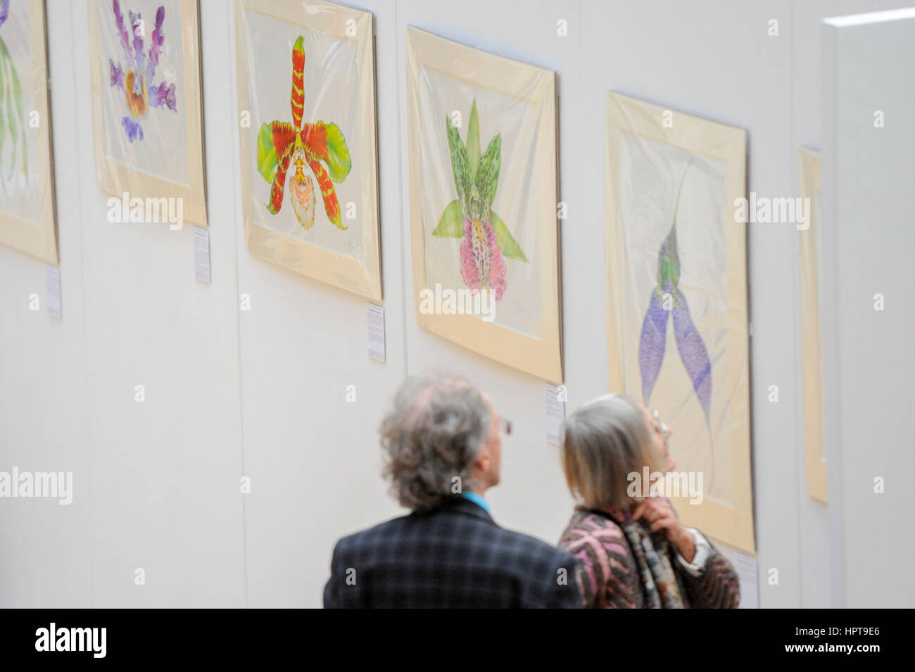 London, UK. 24th Feb, 2017. Members of the public view the work of some of the world's best botanical artists through a display of previously unseen work at the RHS London Botanical Art Show. Taking place this weekend, the show features artists from the UK and internationally including USA, Italy, Japan, New Zealand and South Korea. Credit: Stephen Chung/Alamy Live News Stock Photo