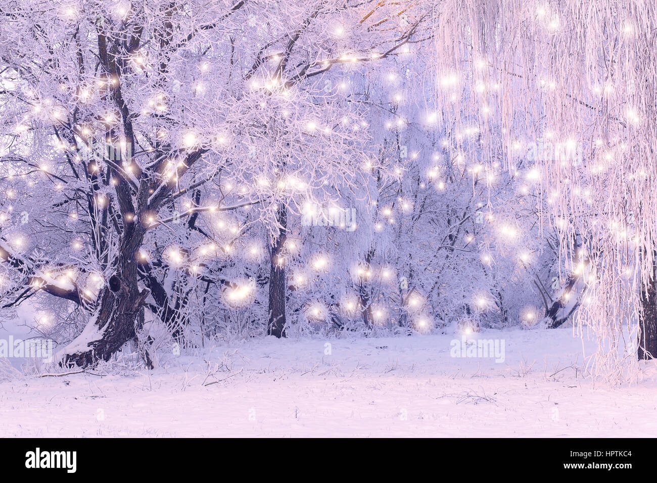 Christmas Holiday Background with color snowflakes. Winter morning landscape. Snowfall on frozen trees background. Stock Photo