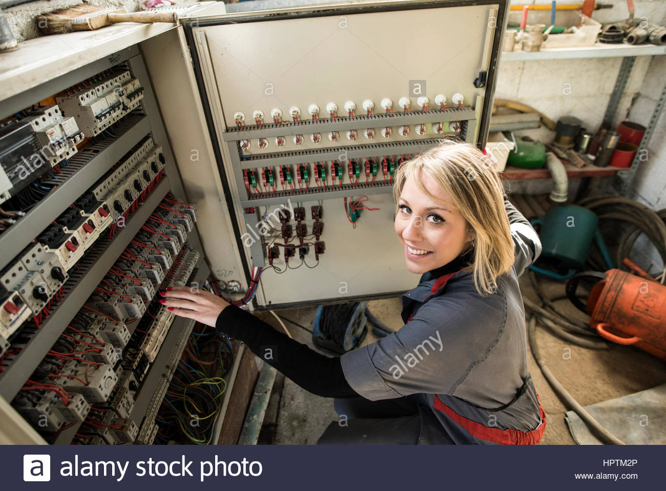Fuse Box Studio - Wiring Diagram