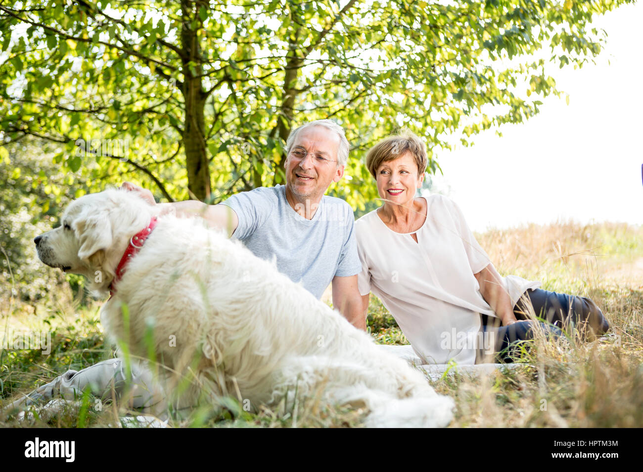 Senior couple with dog in meadow Stock Photo - Alamy