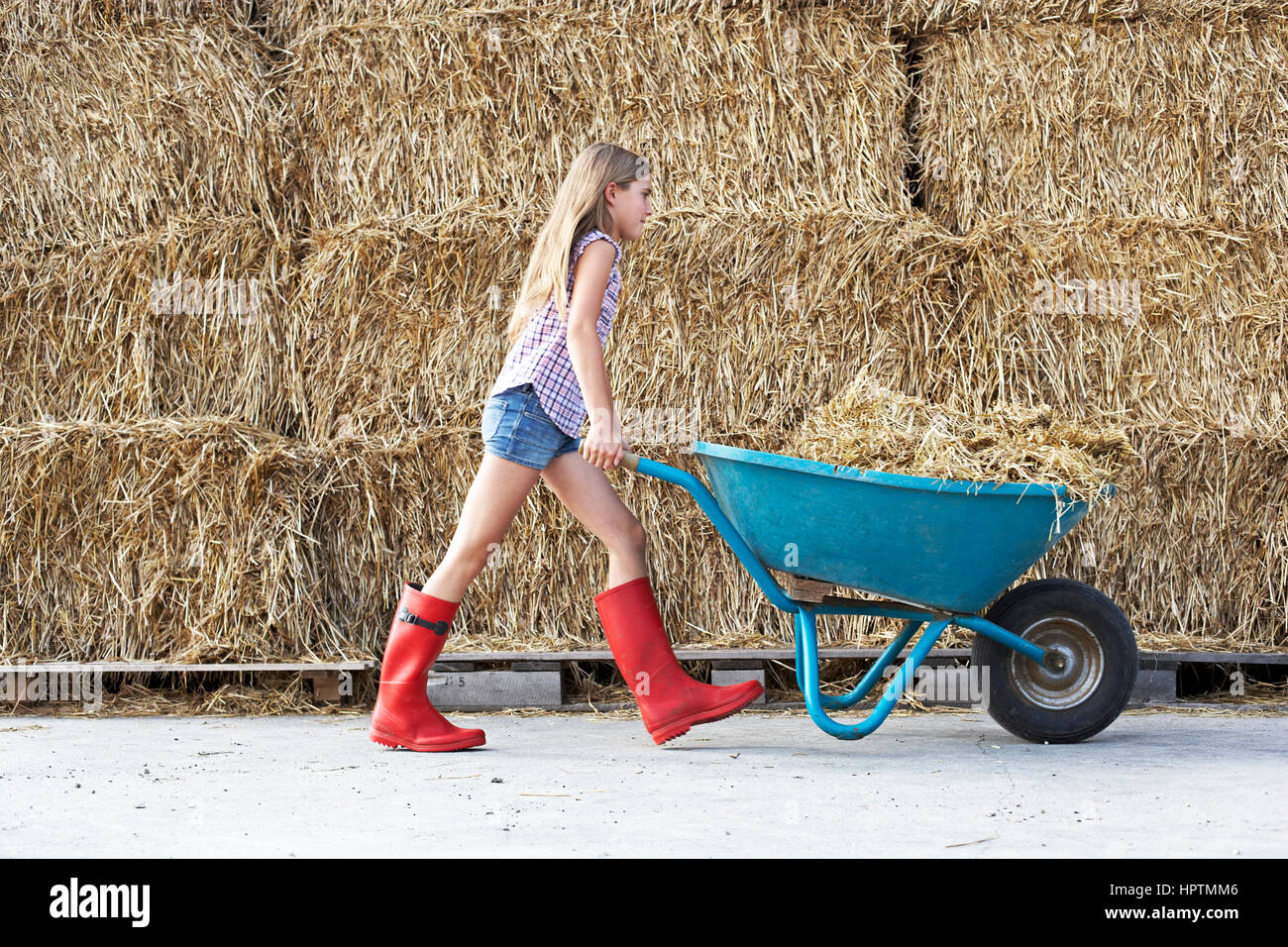 Girl walking with wheelbarrow on horse farm Stock Photo - Alamy