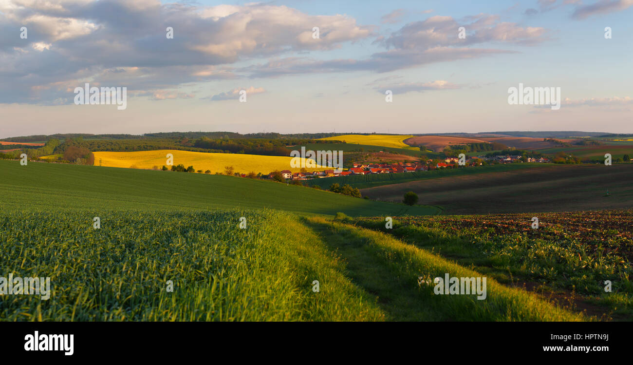 Country road in meadow in the evening and small town Stock Photo