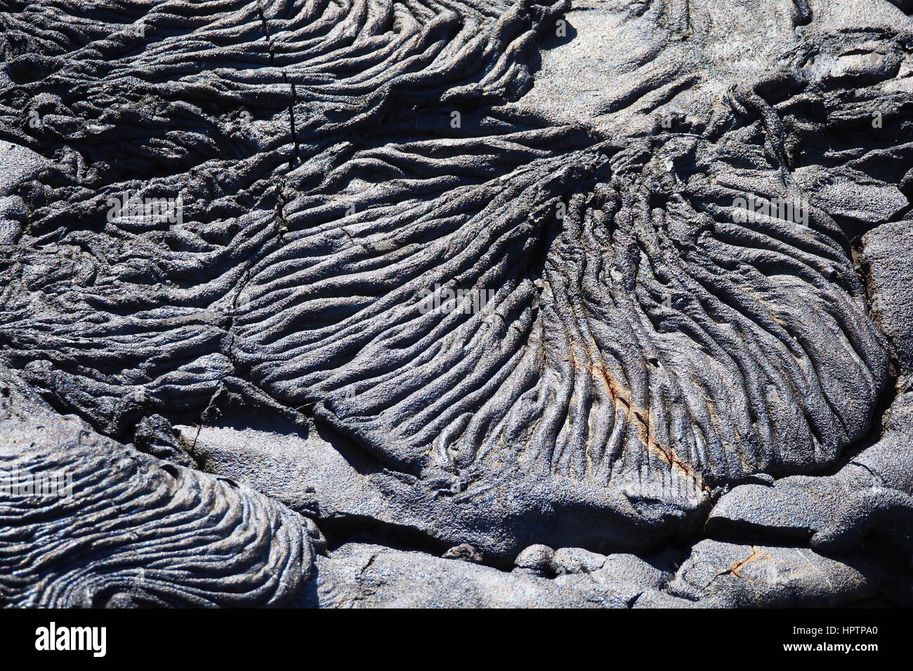 Pahoehoe ('ropy') lava in the Galapagos Islands Stock Photo