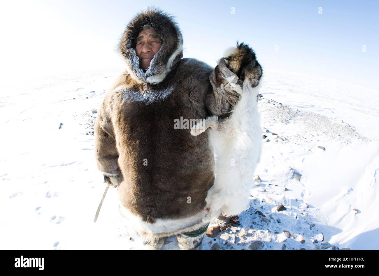 Inuits in Canada are hunting animals for fur Stock Photo Alamy