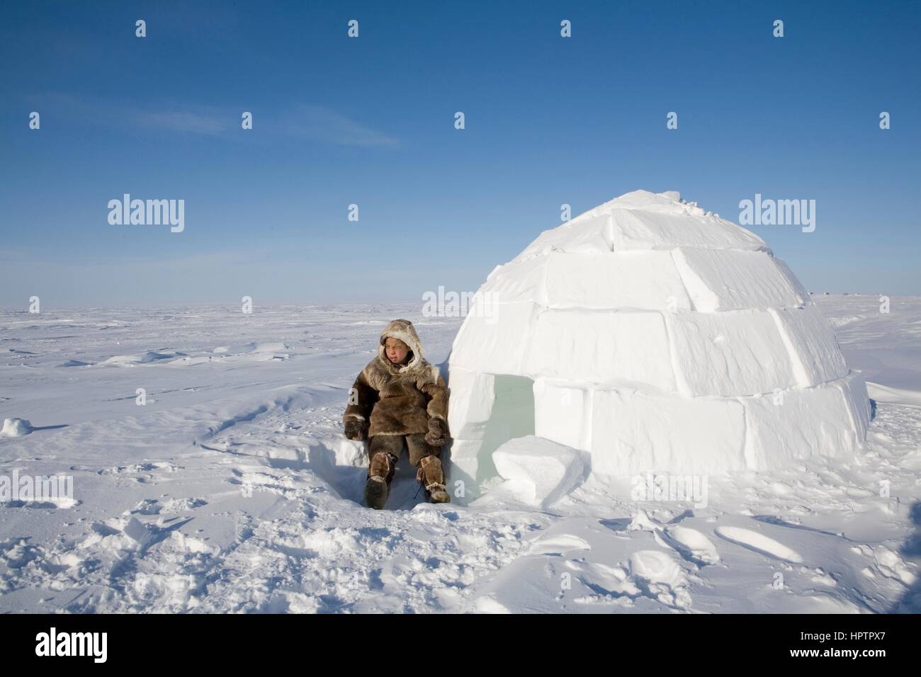 Building an igloo on the northpole Stock Photo Alamy