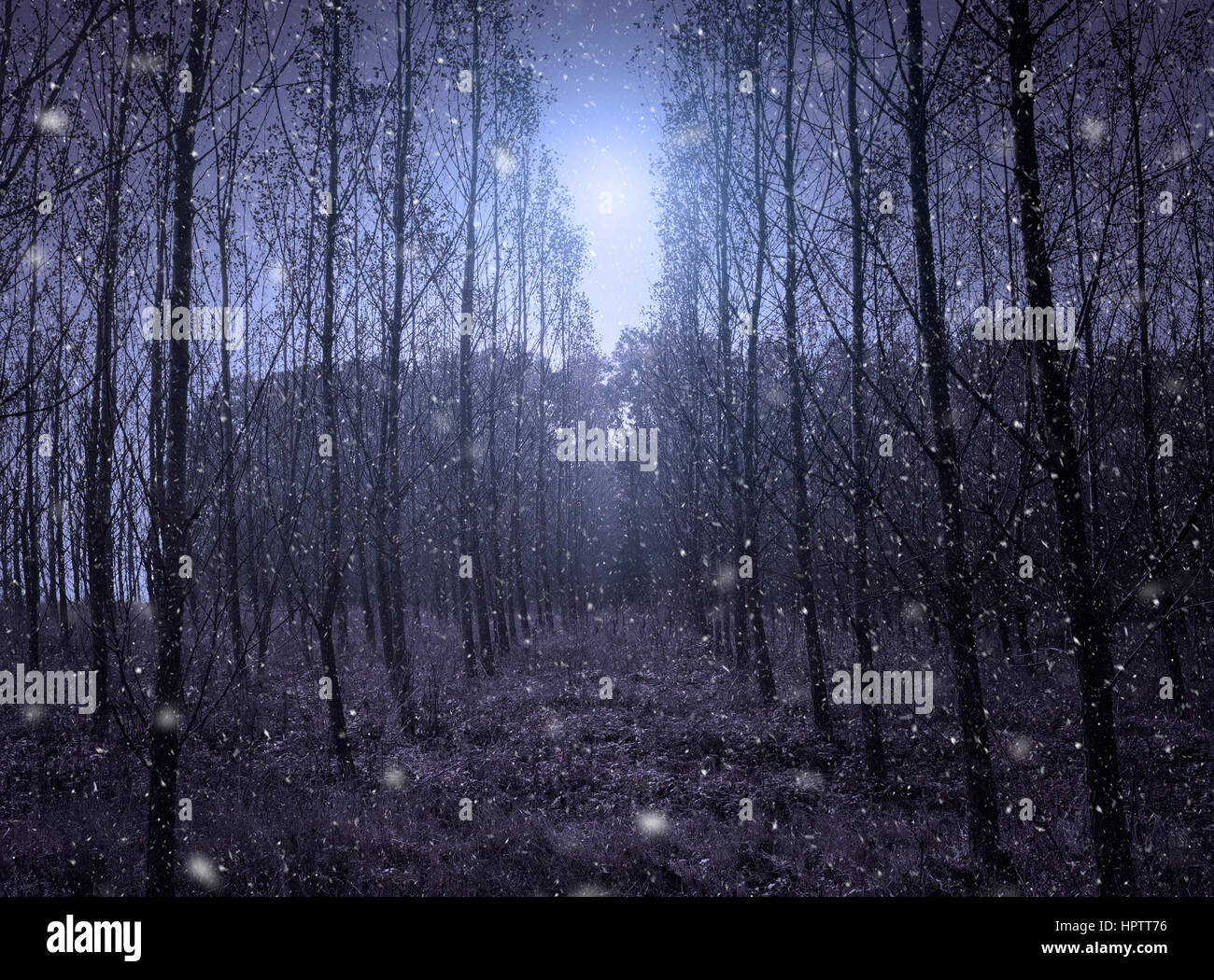 Spooky nighttime hi-res stock photography and images - Alamy
