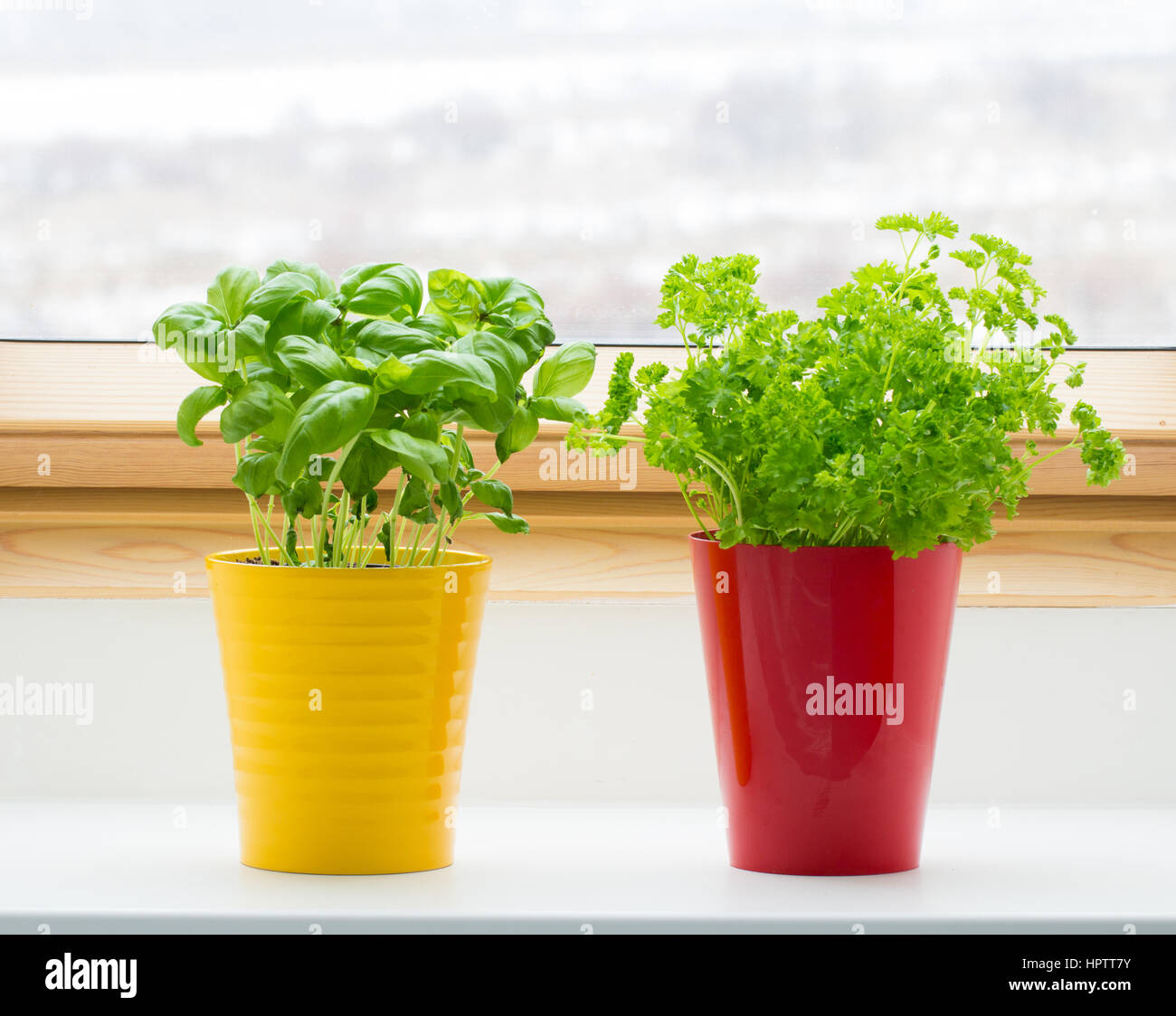 herbs on kitchen window Stock Photo