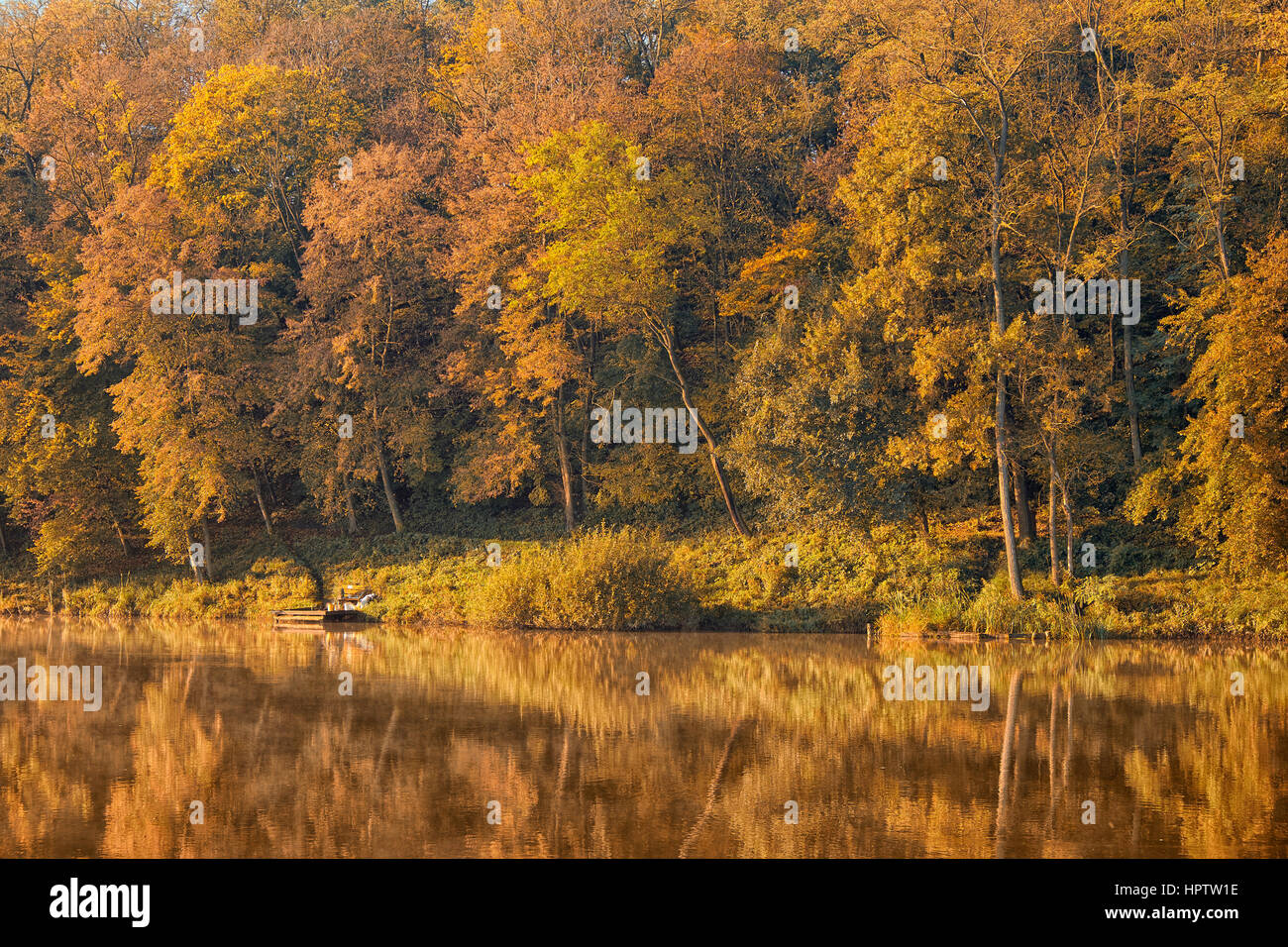 Beautiful autumn forest and lake Stock Photo - Alamy