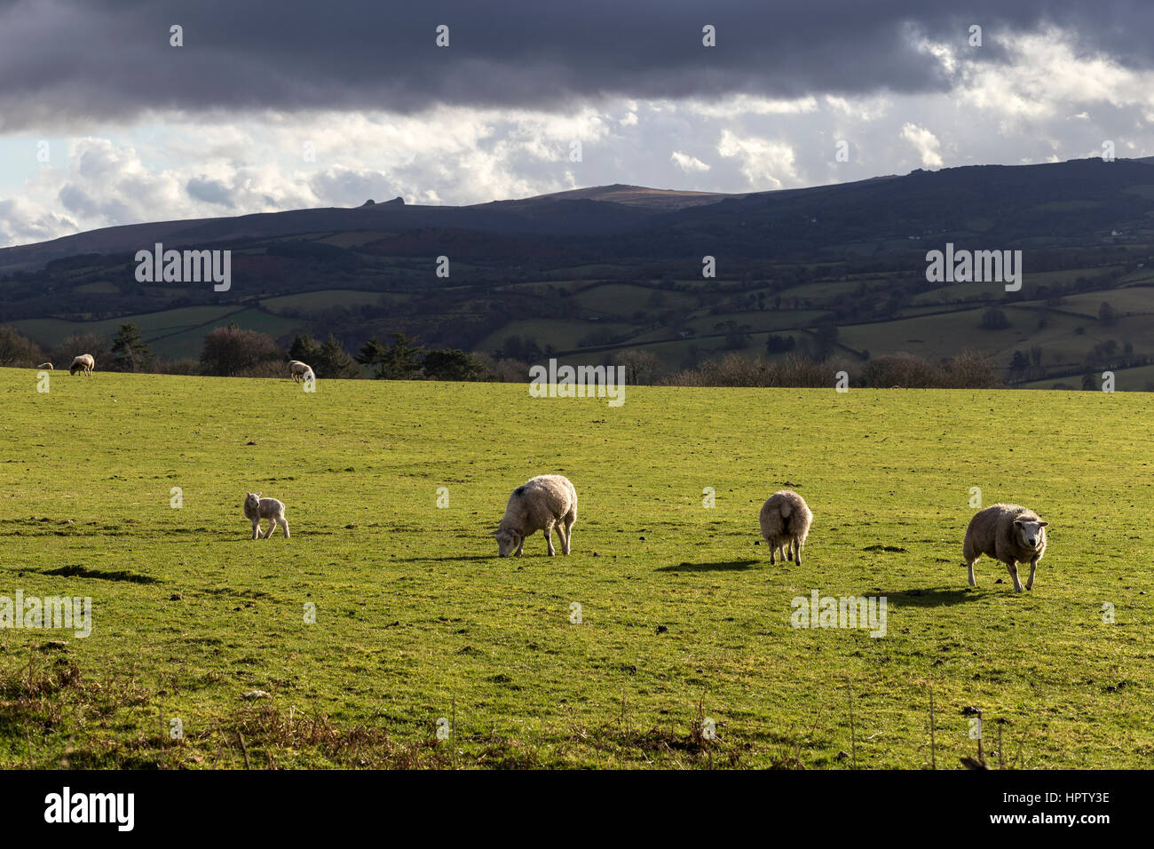 Stoke Gabriel In The South Hams High Resolution Stock Photography and