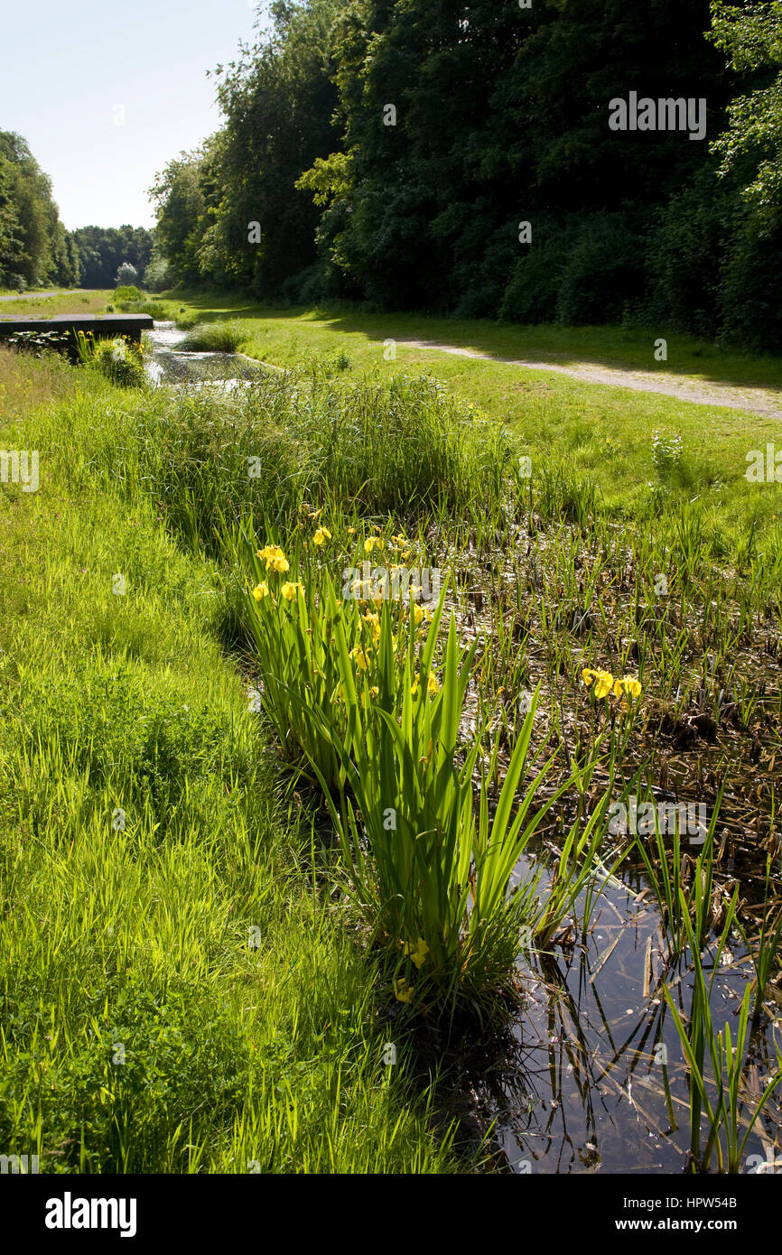 Europe, Germany, Duisburg, the renaturated river Emscher at the Duisburg-Nord Country Park Stock Photo