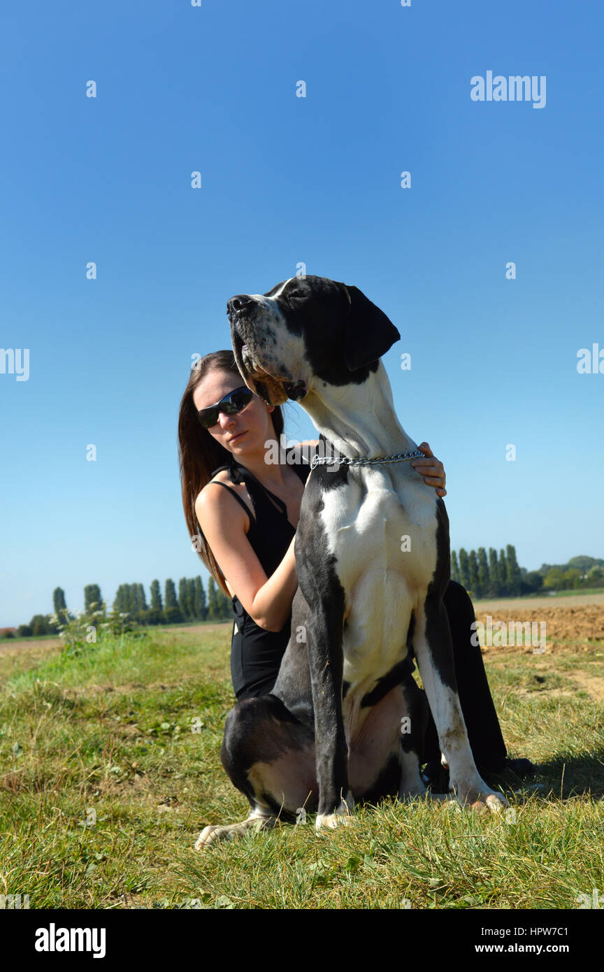 Beautiful young woman with a great dane Stock Photo