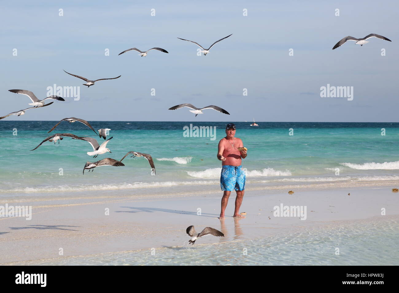 Cayo Coco Beach, man, birds, feeding, tourist Stock Photo