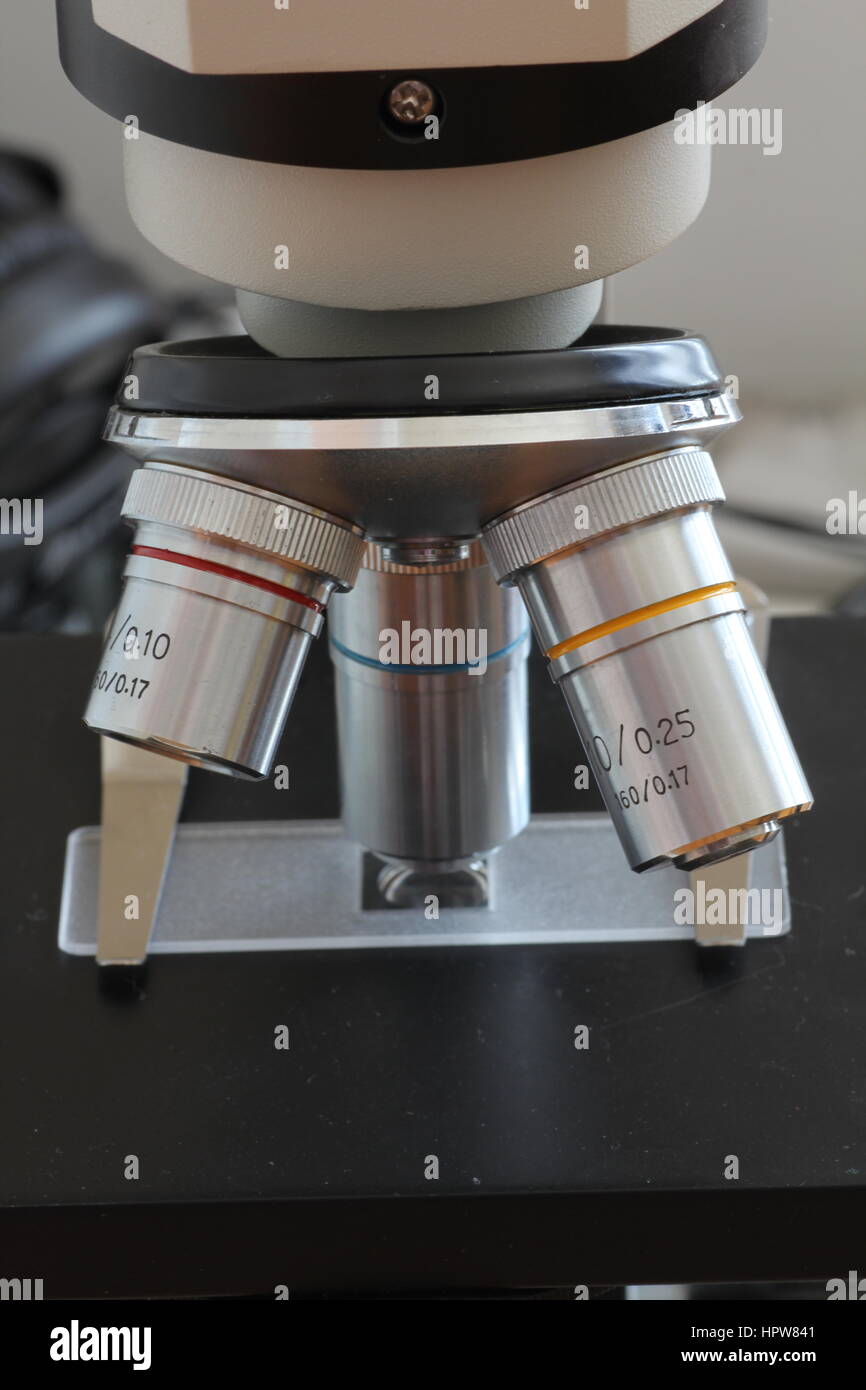 Microscope stage hires stock photography and images Alamy