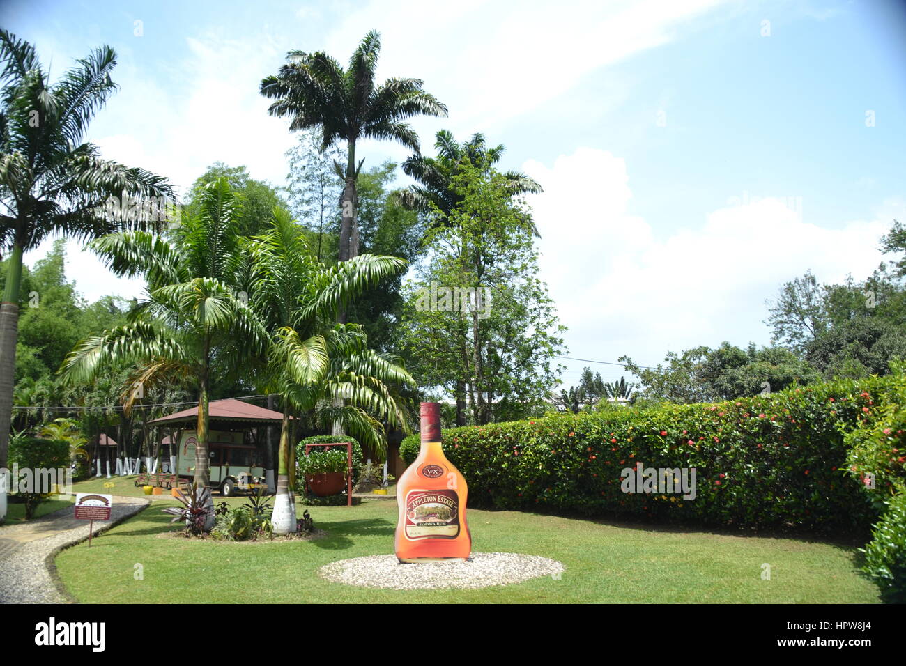At rum factory Stock Photo Alamy