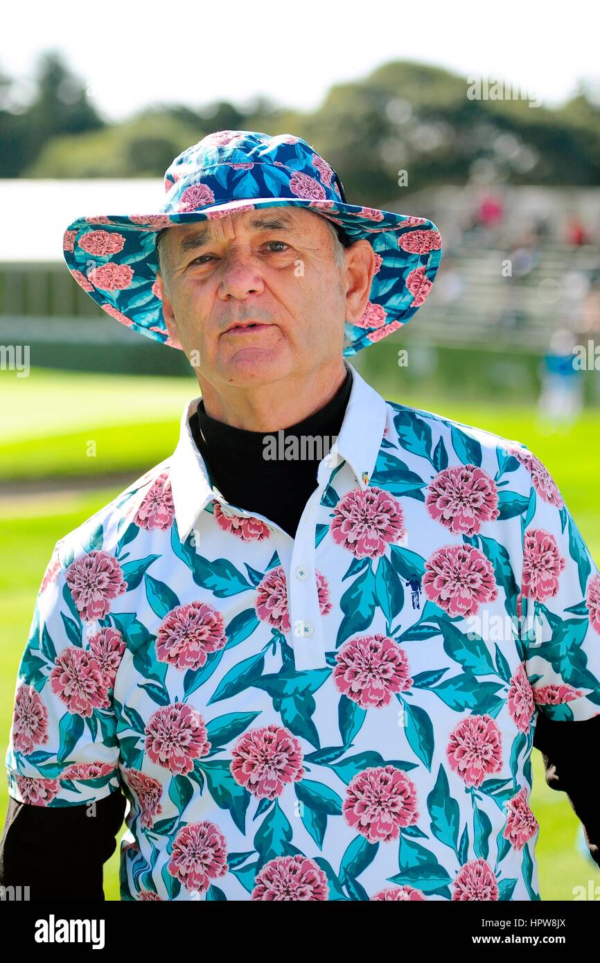 Bill murray golf hi-res stock photography and images - Alamy