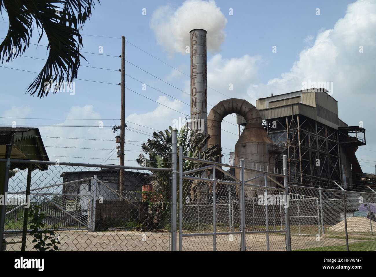 At rum factory Stock Photo Alamy