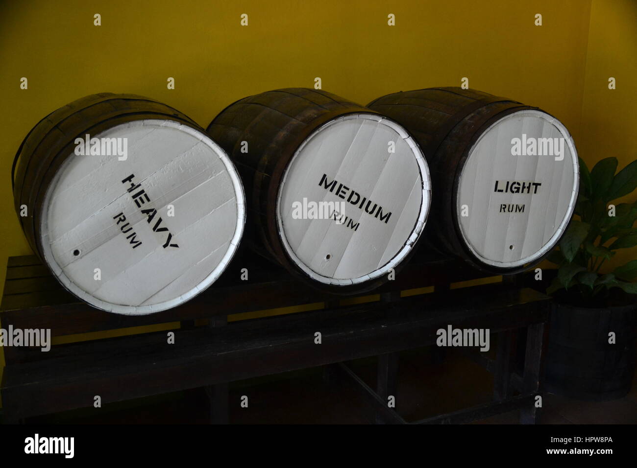 At rum factory Stock Photo Alamy