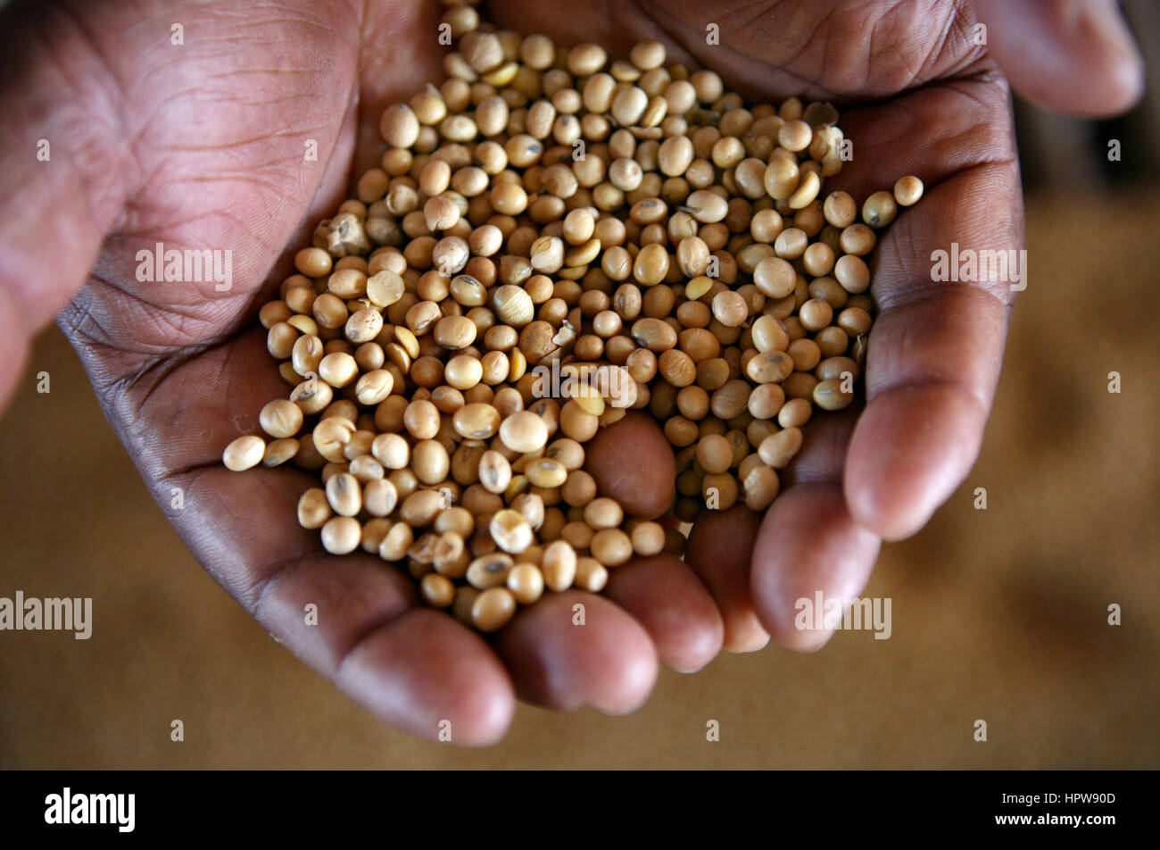 Brazil is the world's largest soybean producer. Where once rainforest