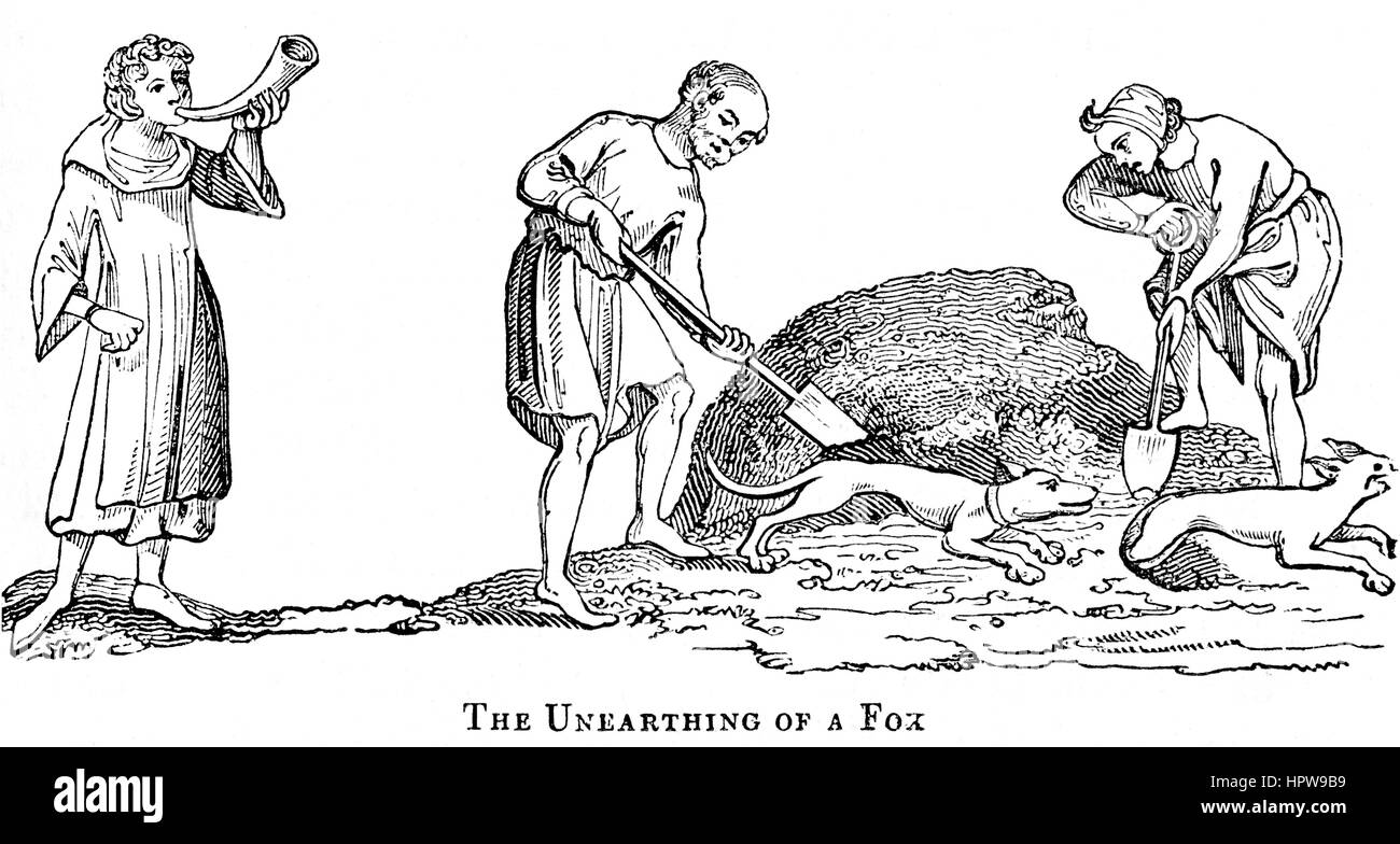An illustration of The Unearthing of a Fox in the 14th Century scanned at high resolution from a book printed in 1831.  Believed copyright free. Stock Photo