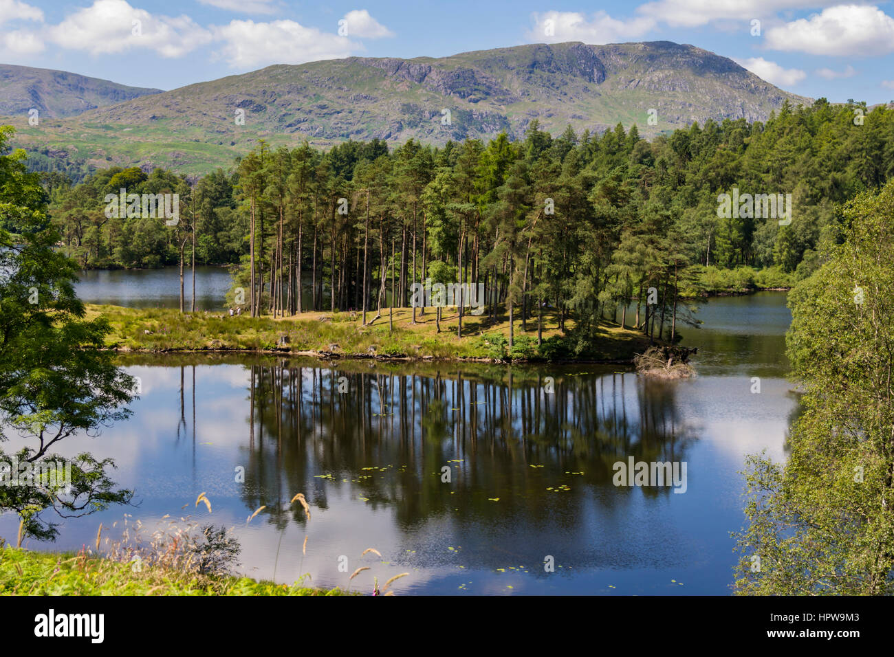 Howse Tarn Tarn Hows Walk High Resolution Stock Photography and Images - Alamy
