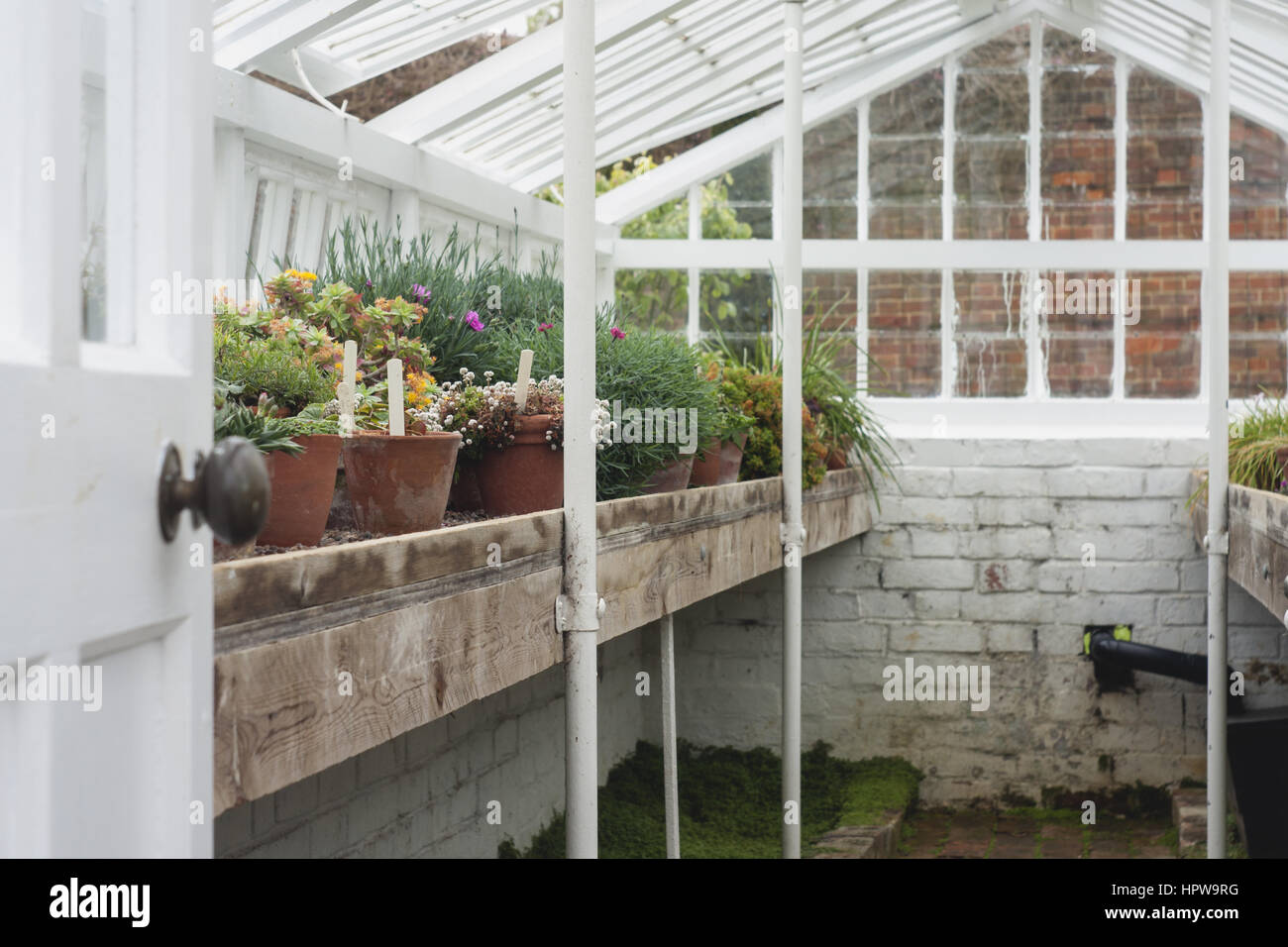 Interior of a Traditional half brick gable roofed greenhouse Stock