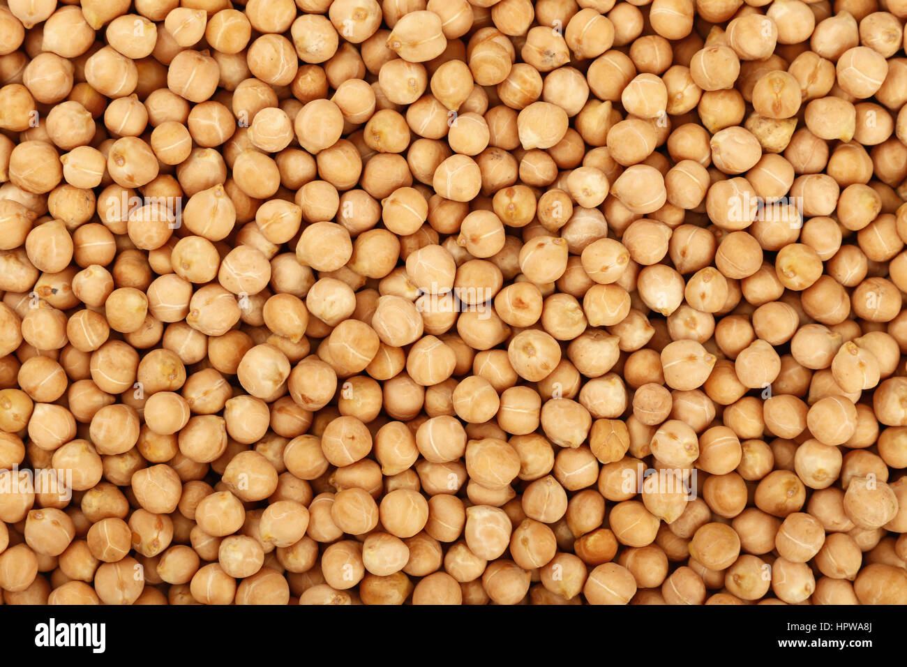 Dried chickpea beans close up pattern background, elevated top view Stock Photo