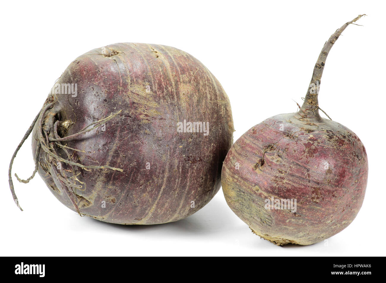 beetroot from organic farming isolated on white background Stock Photo