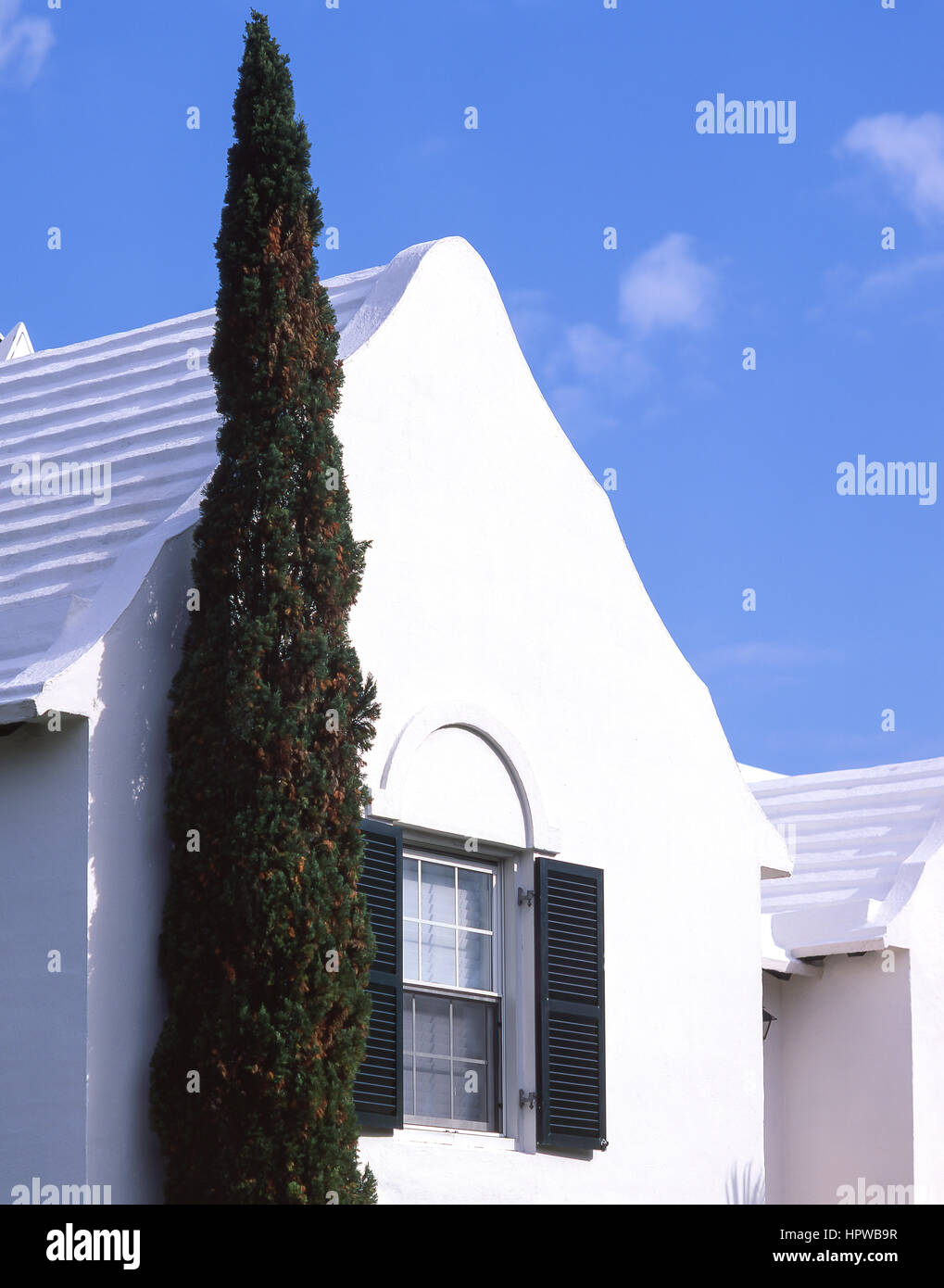 Whitewashed villa with cyprus tree, St.George's, St.George's Parish, Bermuda Stock Photo