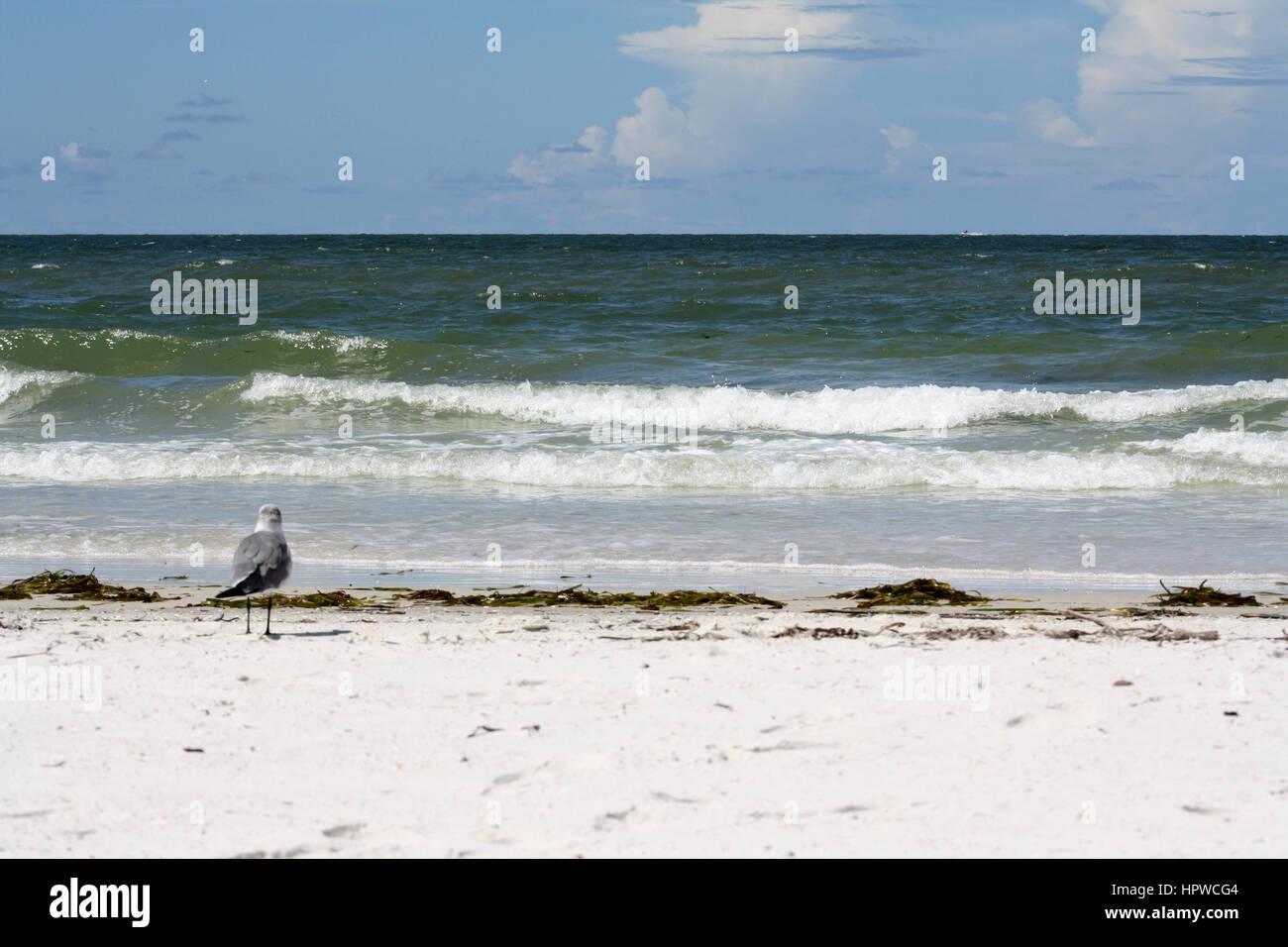 Tampa Bay Beach Stock Photo