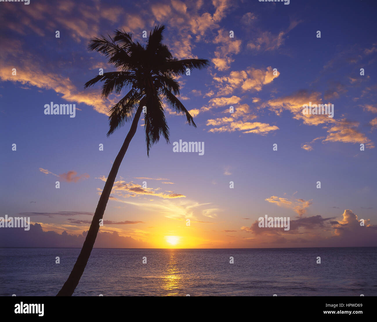 Tropical sunset, Darkwood Beach, Saint Mary’s Parish, Antigua, Antigua and Barbuda, Lesser Antilles, Caribbean Stock Photo