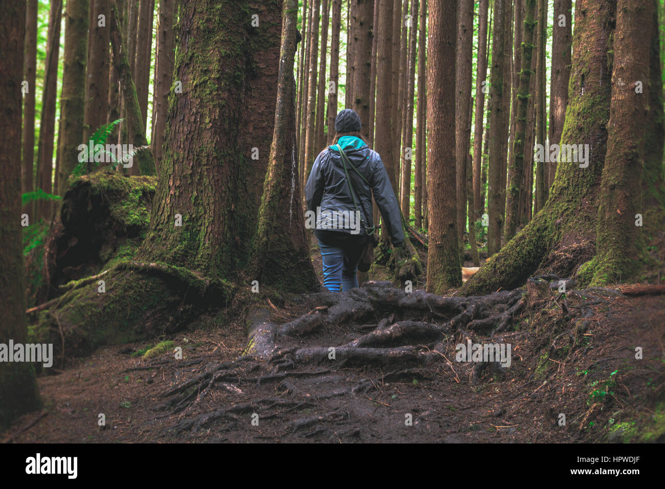 Strong female presence in lush forest Stock Photo