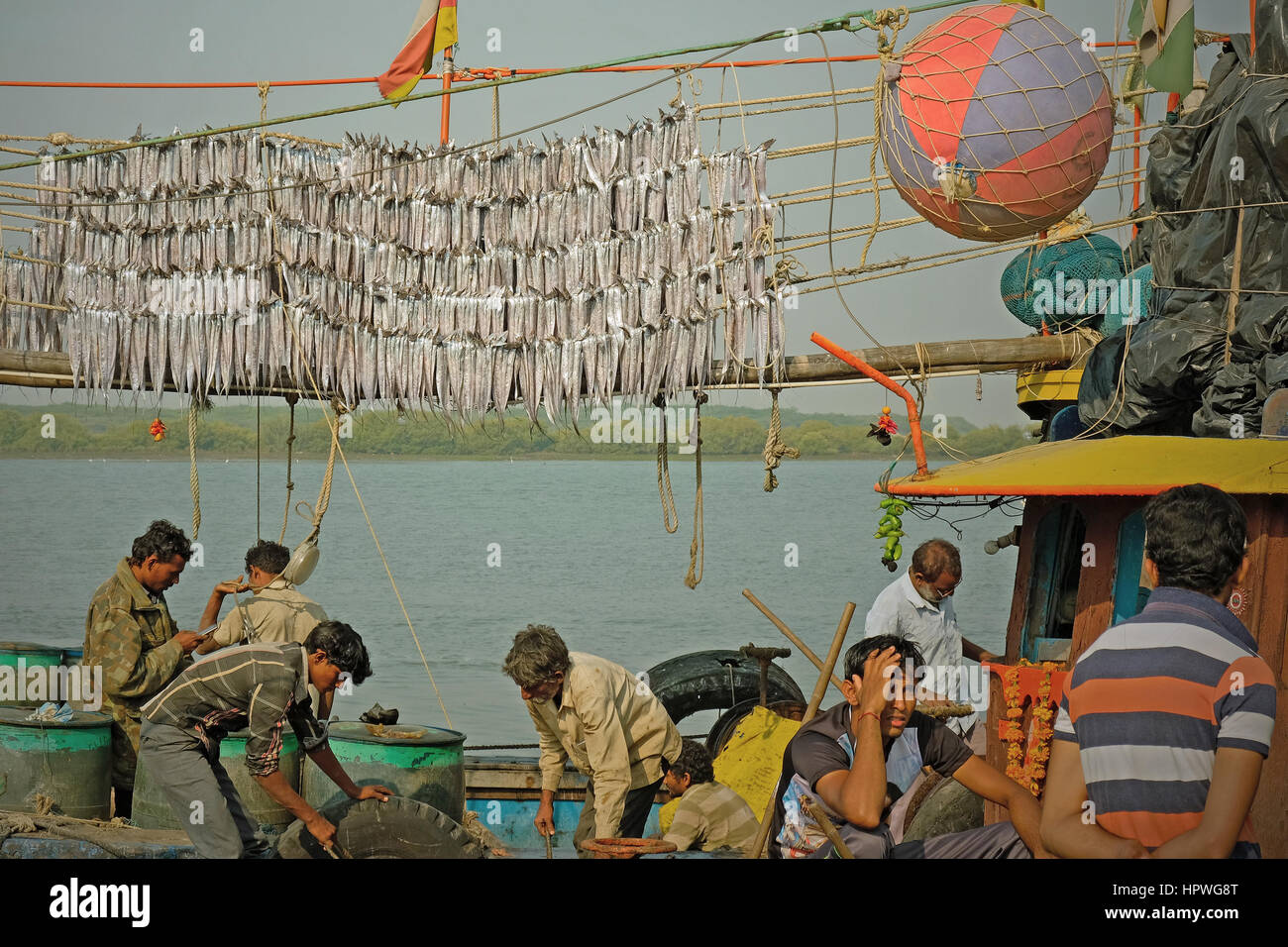 Gujarati fishermen in port with their catch being dried in the sun on racks before sale at the