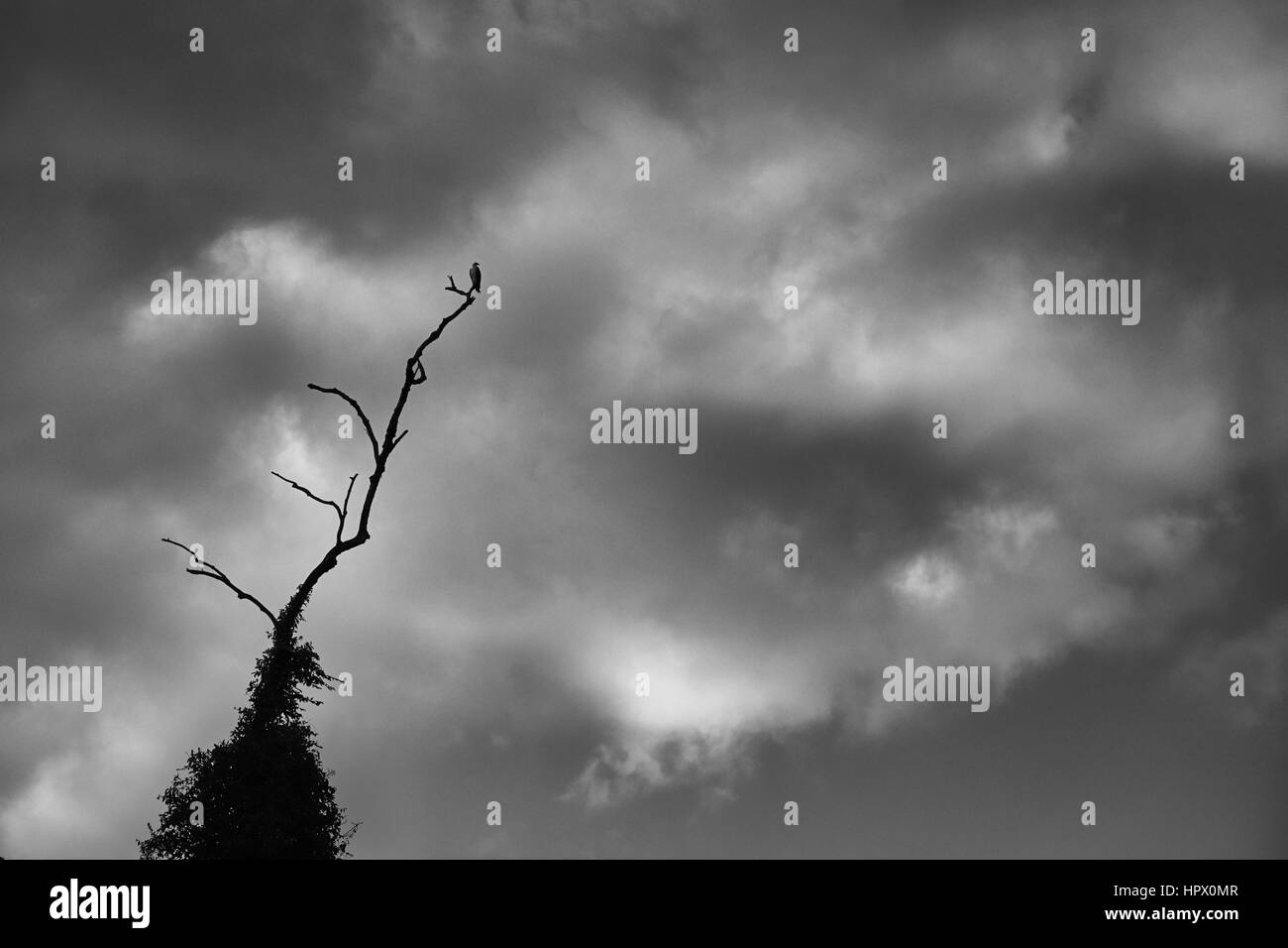 Dramatic cloudy sky above Black and White Stock Photos & Images - Alamy