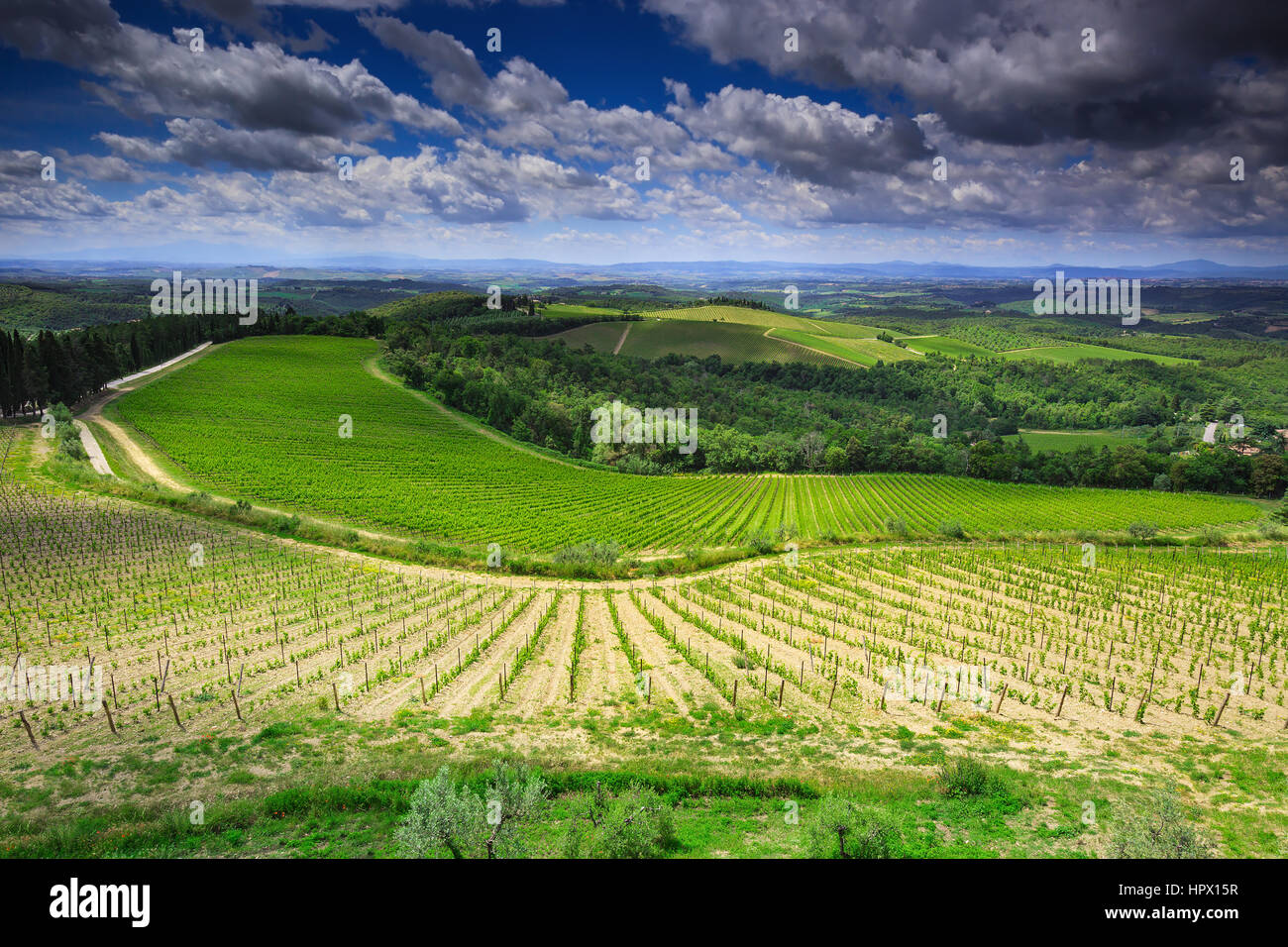 Amazing landscape of vineyards in Tuscany,Italy Stock Photo