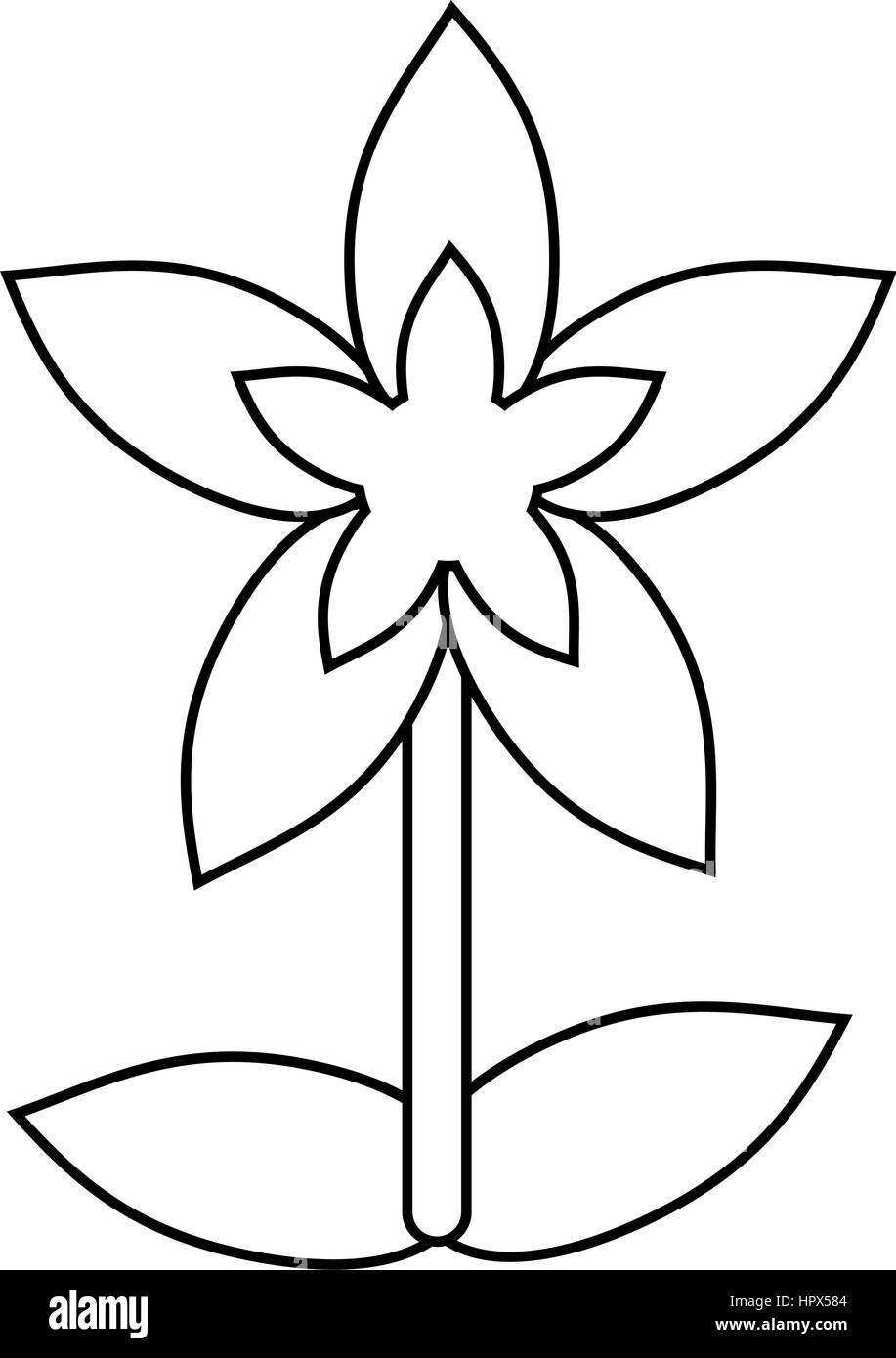 flower tropical exotic thin line Stock Vector Image & Art - Alamy