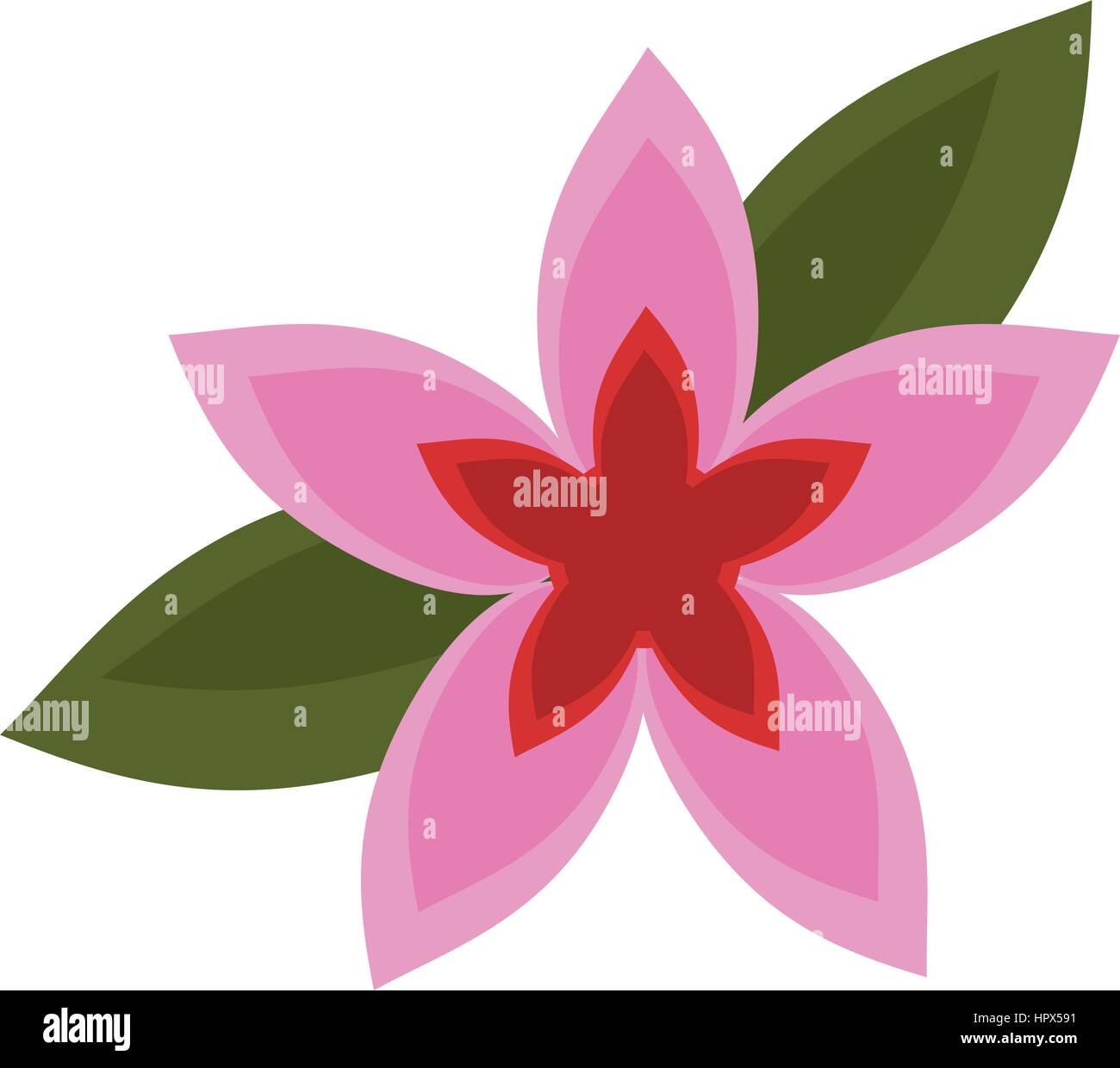 flower tropical exotic icon Stock Vector Image & Art - Alamy