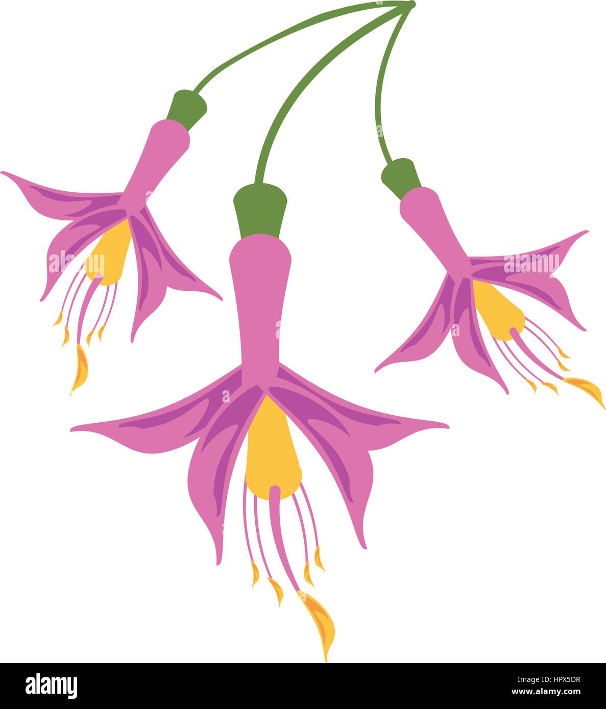 flower petal natural icon Stock Vector Image & Art - Alamy