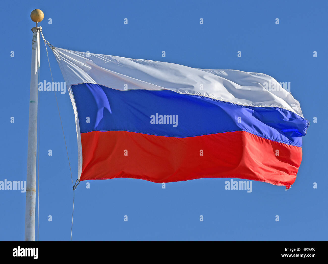 Flag Russia Images – Browse 113 Stock Photos, Vectors, and Video