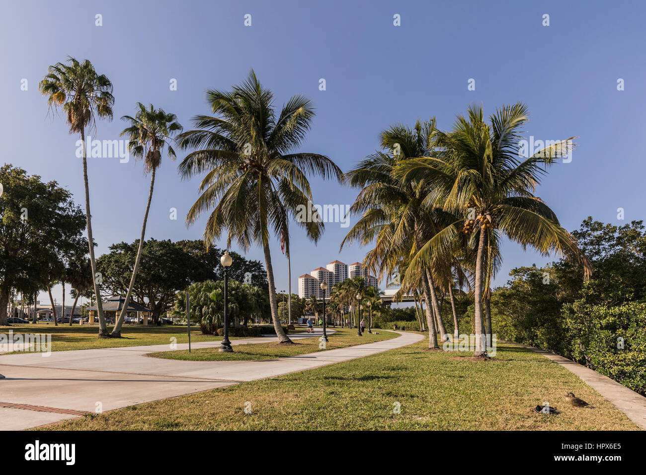 Centennial Park in Fort Myers, Florida. USA Stock Photo