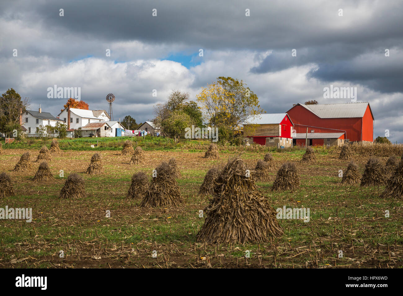 An Amish farm and corn shocks in the field near Mt. Eaton, Ohio, USA