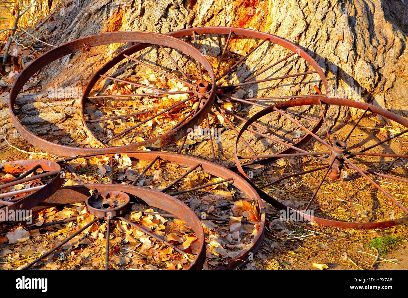 Old Wagon Wheels Stock Photo