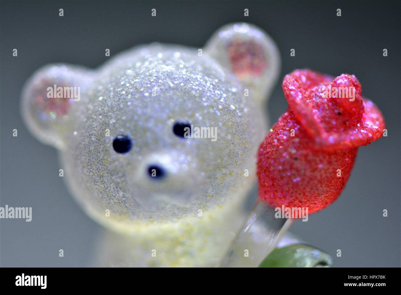 teddy bear glass