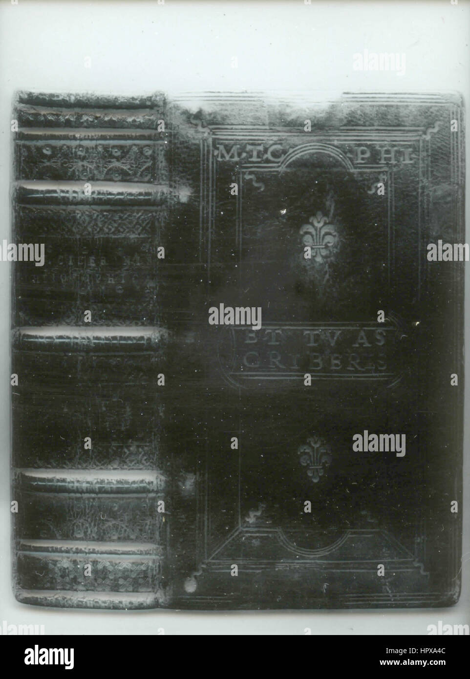 Ad familiares hires stock photography and images Alamy